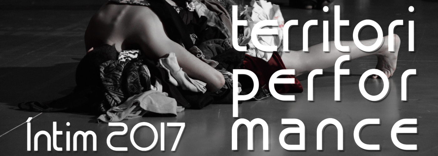 Territori performance 2017